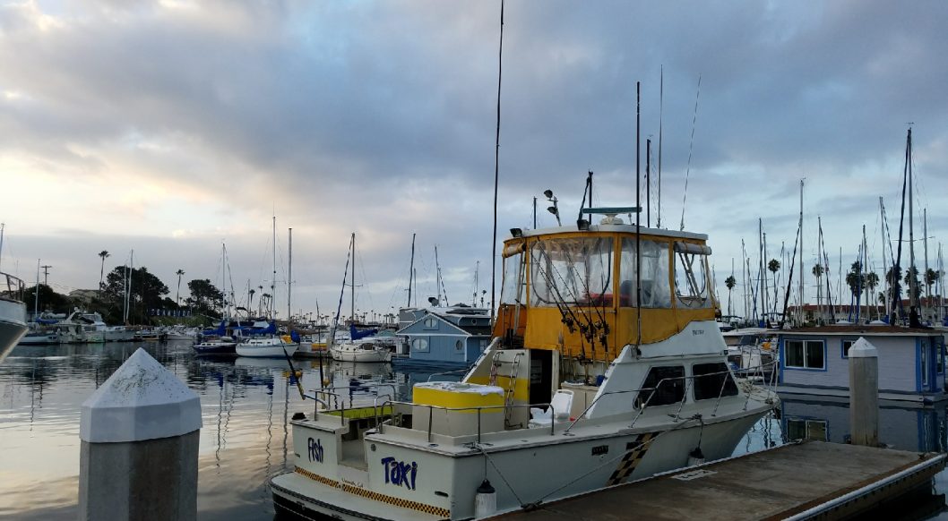 Fish Taxi Deep Sea Sportfishing Charter