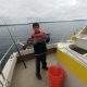Fish Taxi Deep Sea Sportfishing Charter