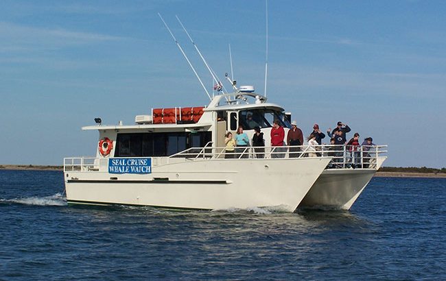 SHEARWATER EXCURSIONS